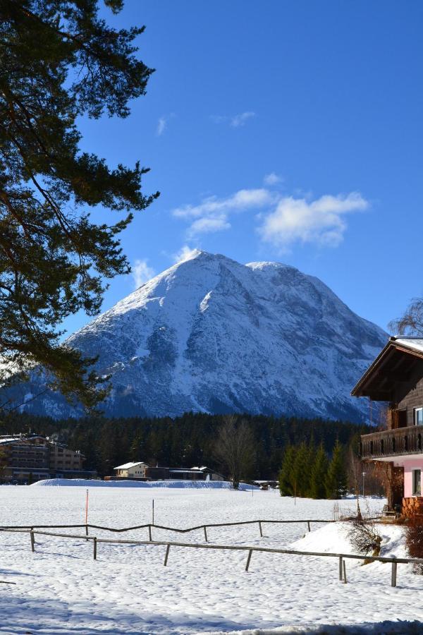 Apartamento Andys Bergblick Leutasch Exterior foto
